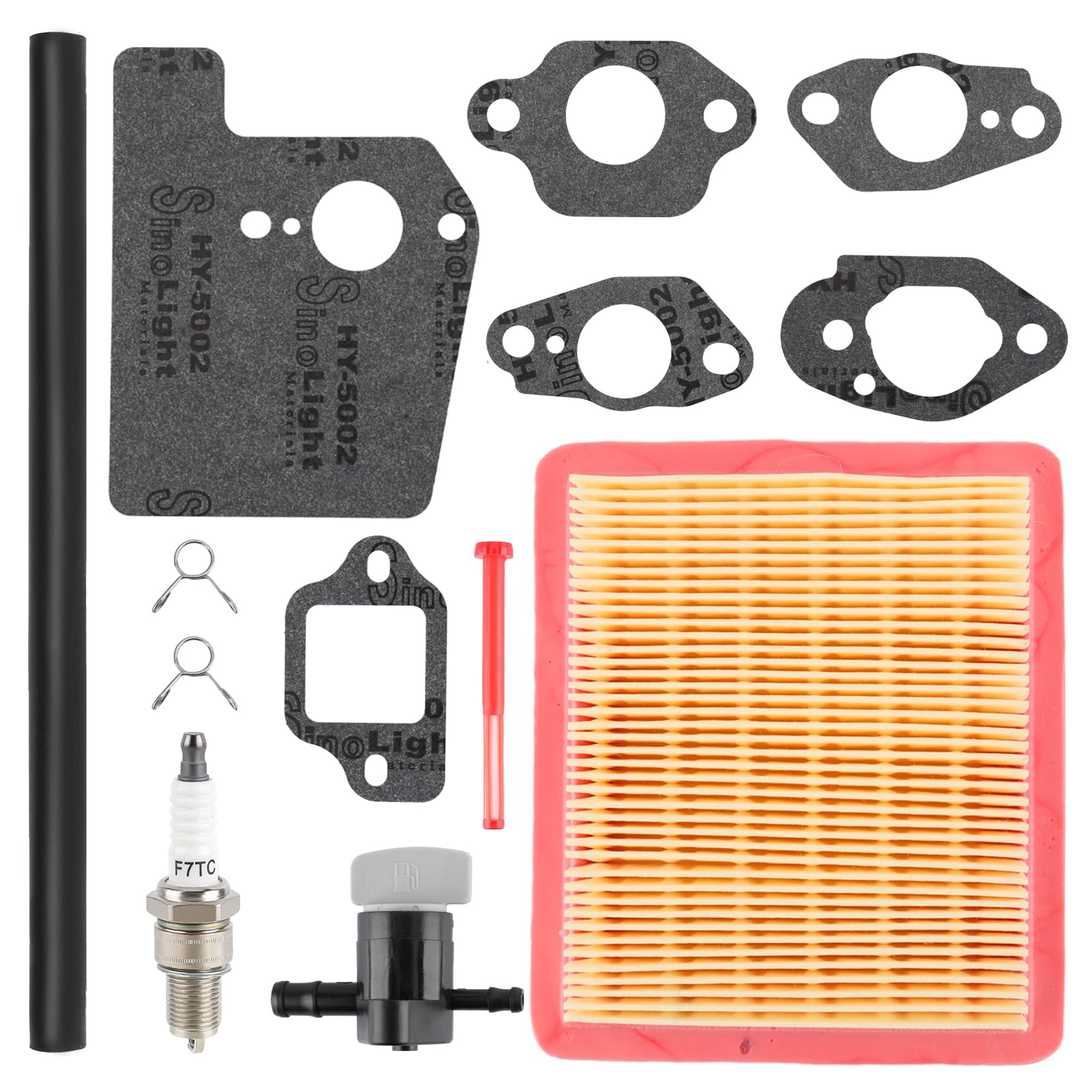 BioLion air filter and spark plug detail illustrating improved air-fuel combustion benefit