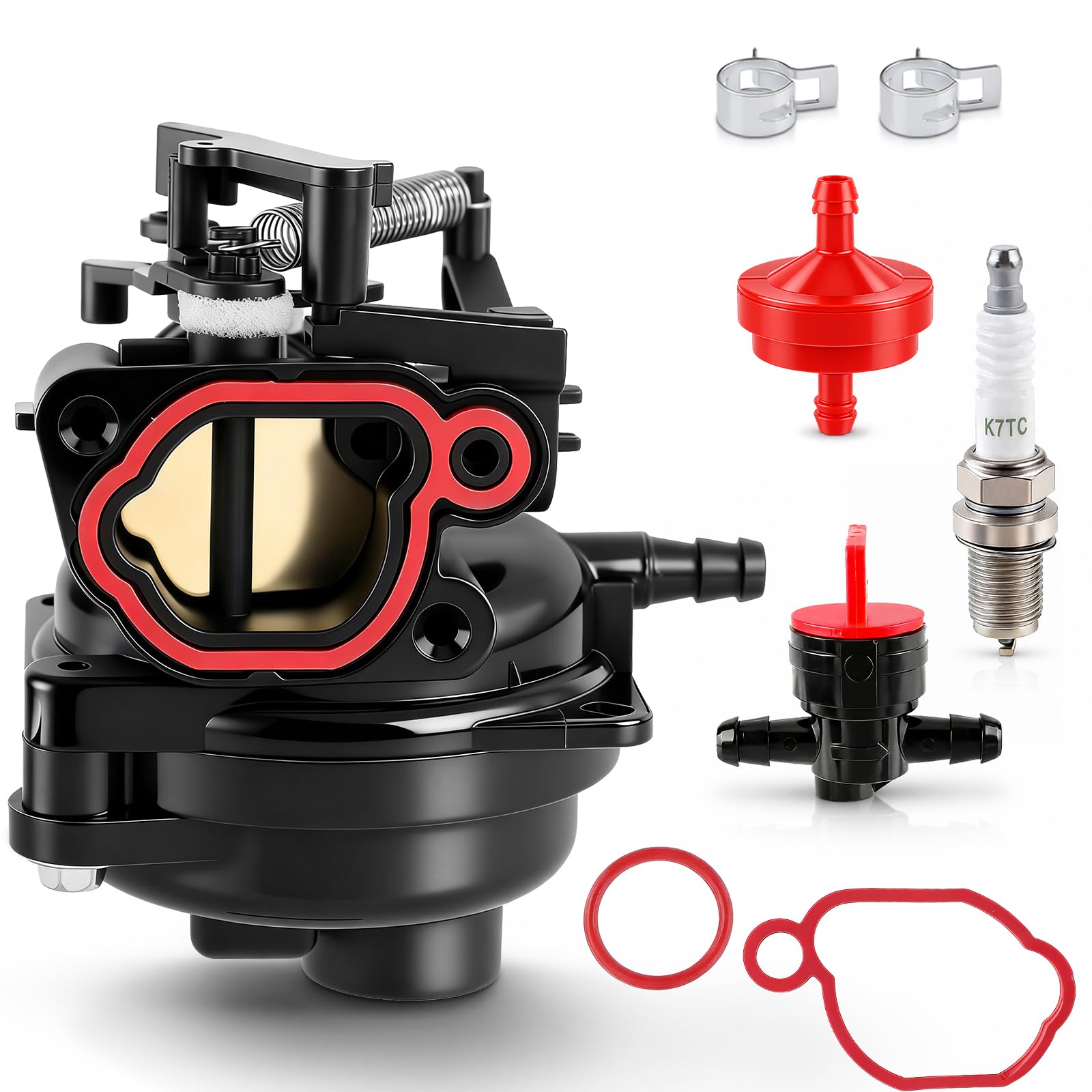 BioLion carburetor front view showing body and mounting points for accurate fit