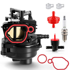 BioLion carburetor front view showing body and mounting points for accurate fit