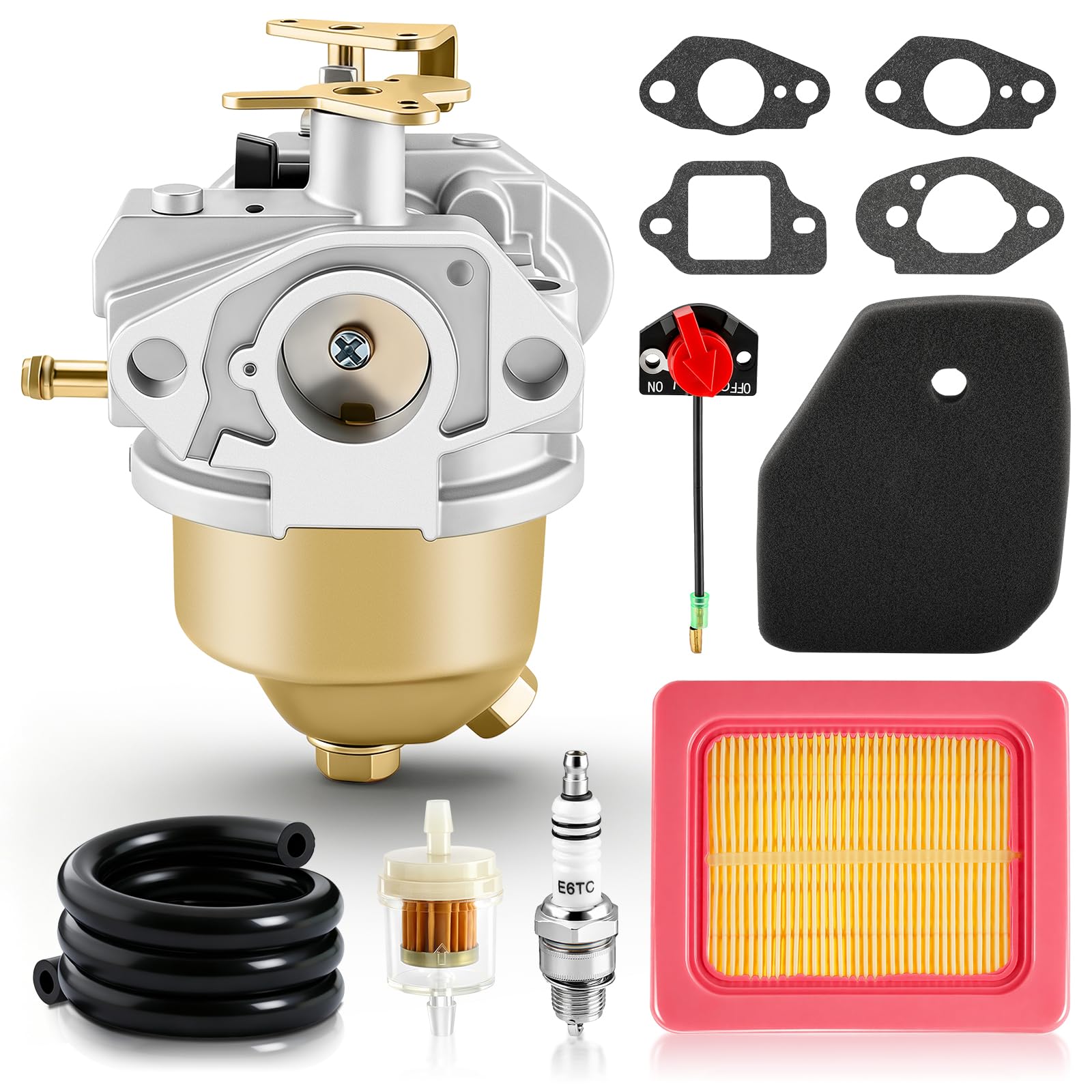 BioLion RUIXING front assembly showing full carburetor fit and reliable replacement