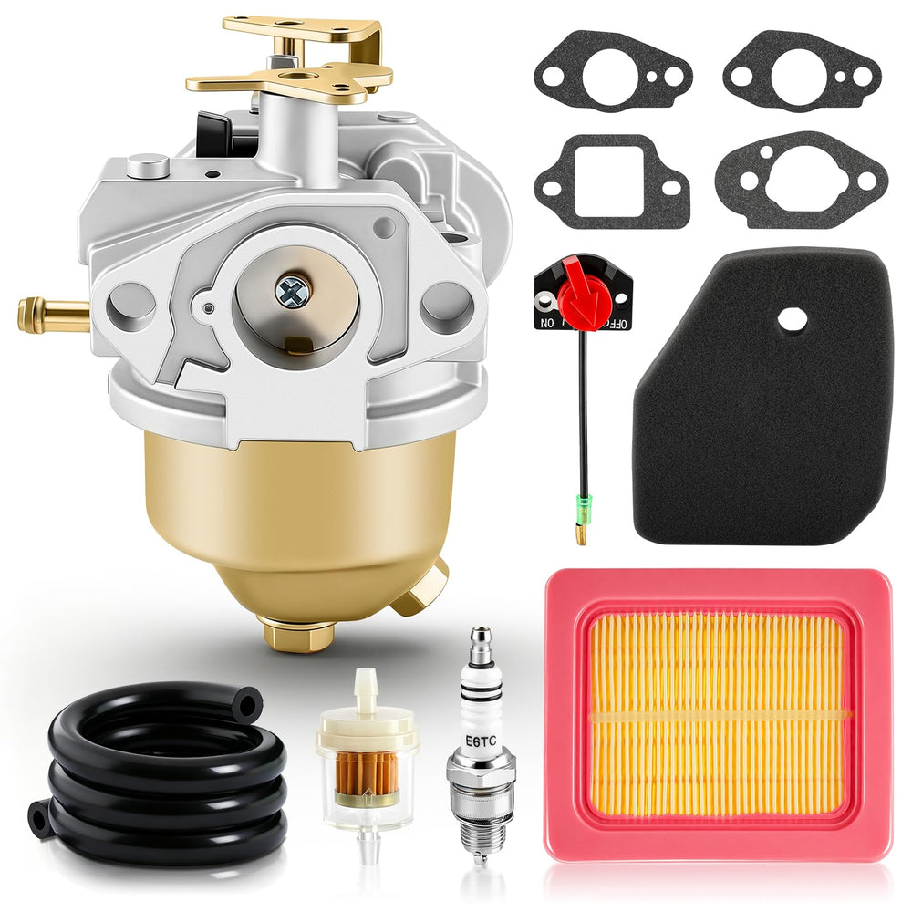 BioLion RUIXING front assembly showing full carburetor fit and reliable replacement