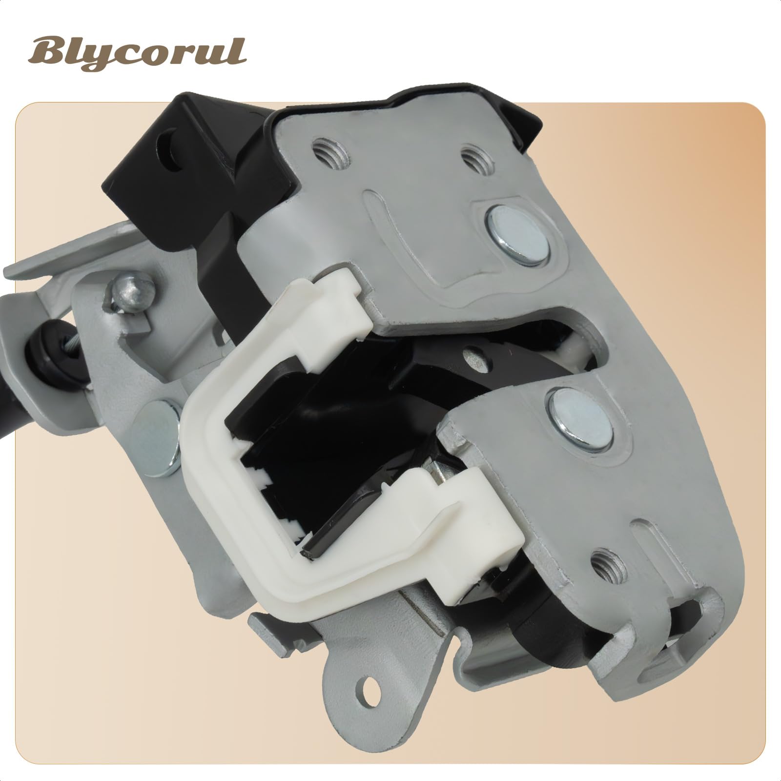 Blycorul packaging and warranty label image showing included one-year protection