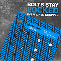 Boltster top view with bolts and screws organized to speed reassembly
