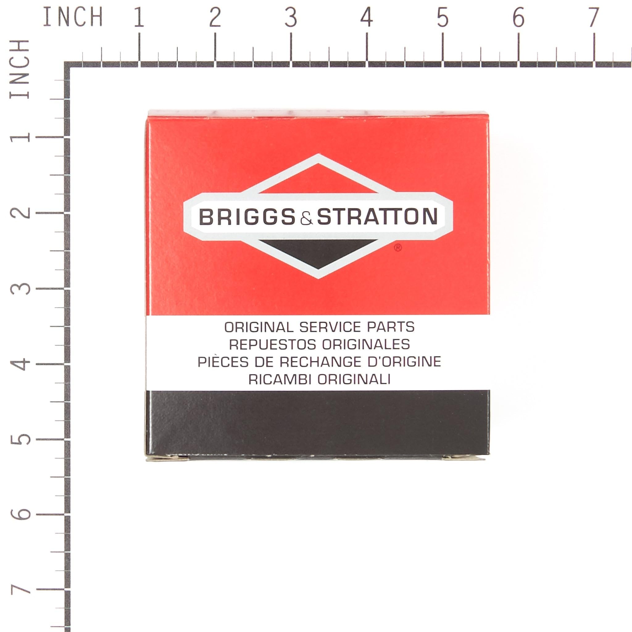 Briggs & Stratton fuel inlet and filter view helping prevent clogs