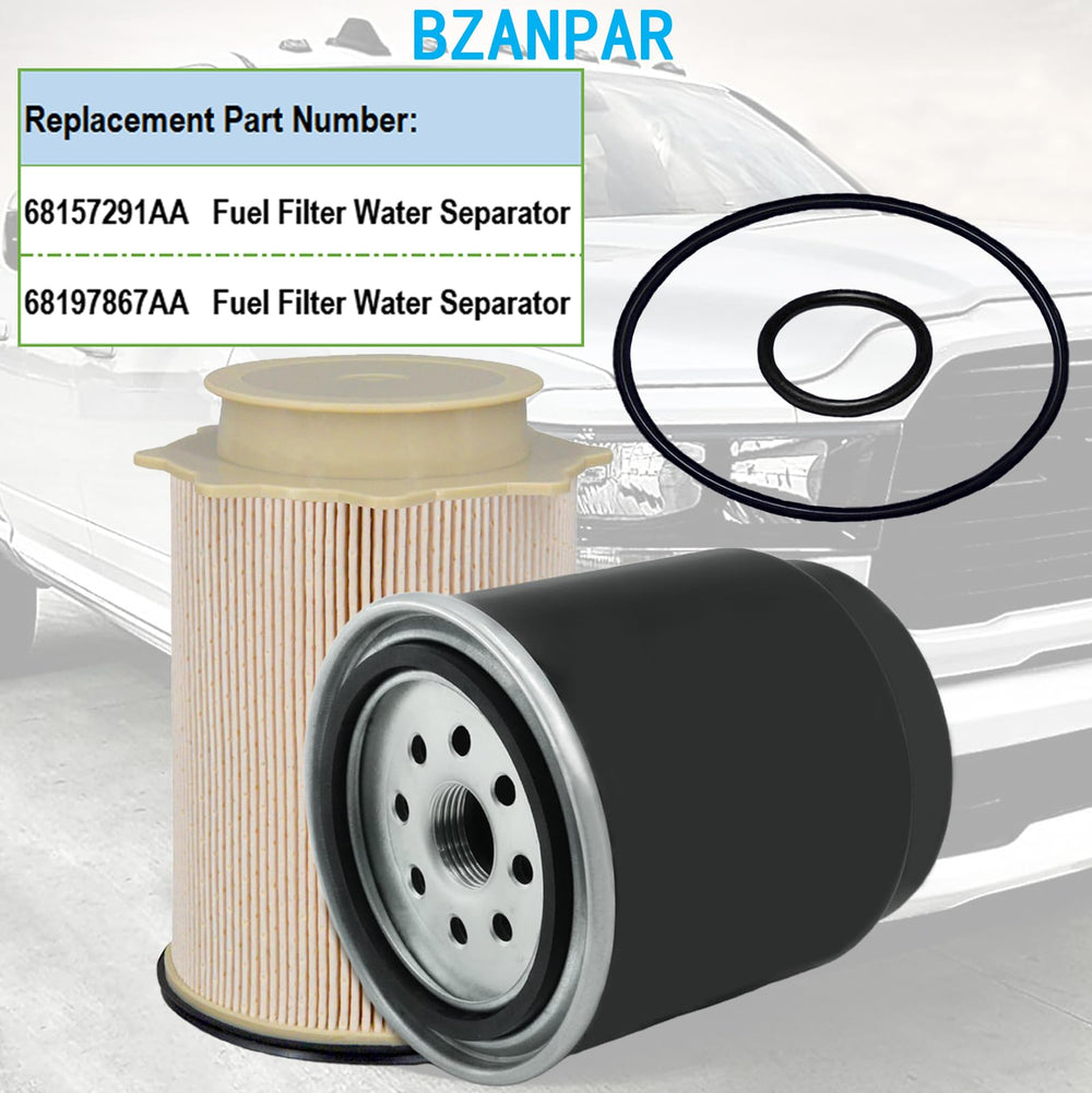 BZANPAR next to ruler for size scale ensuring right replacement dimensions