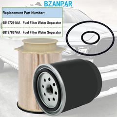 BZANPAR next to ruler for size scale ensuring right replacement dimensions