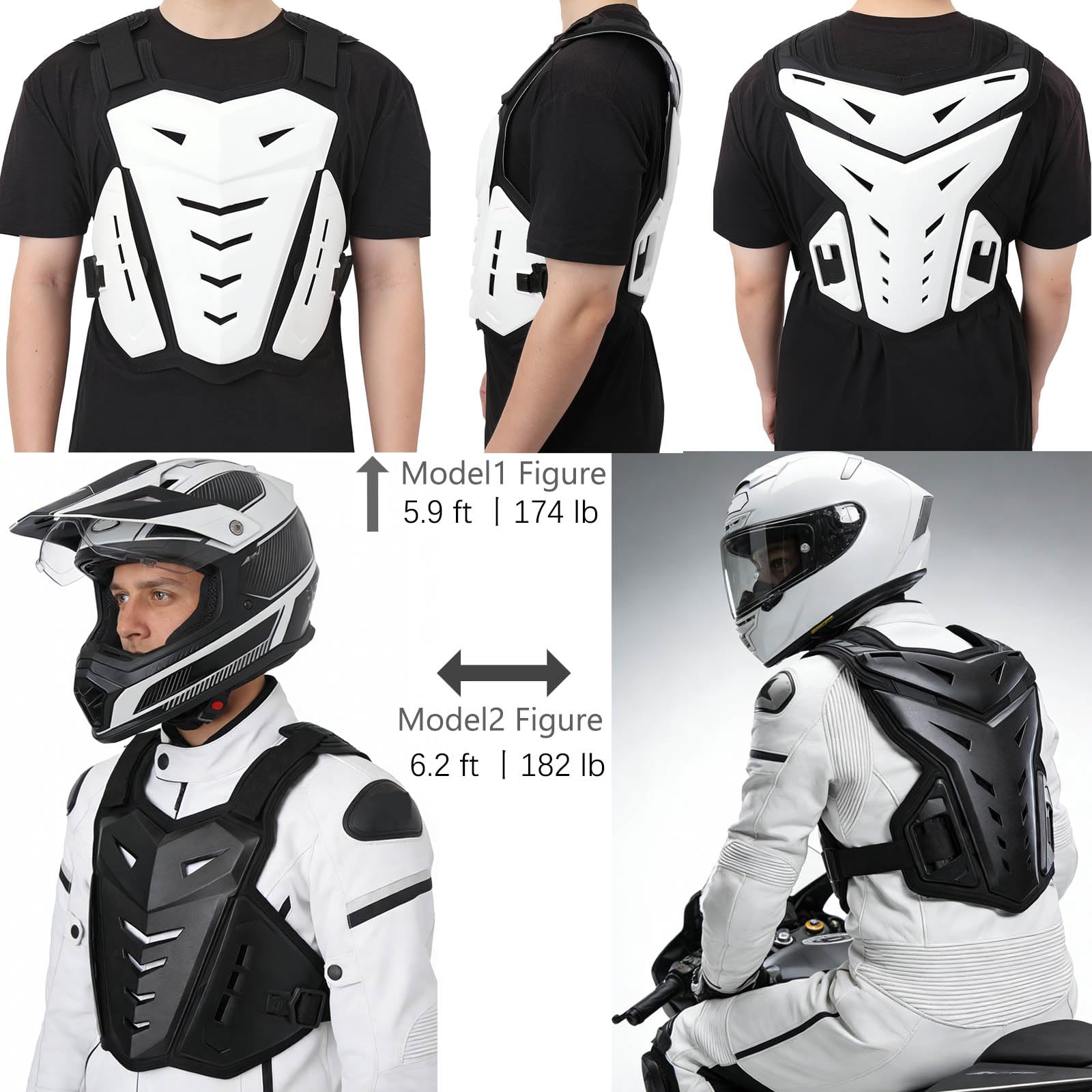 CALOPET back protector highlighting spine coverage and impact resistance