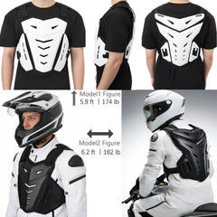 CALOPET back protector highlighting spine coverage and impact resistance