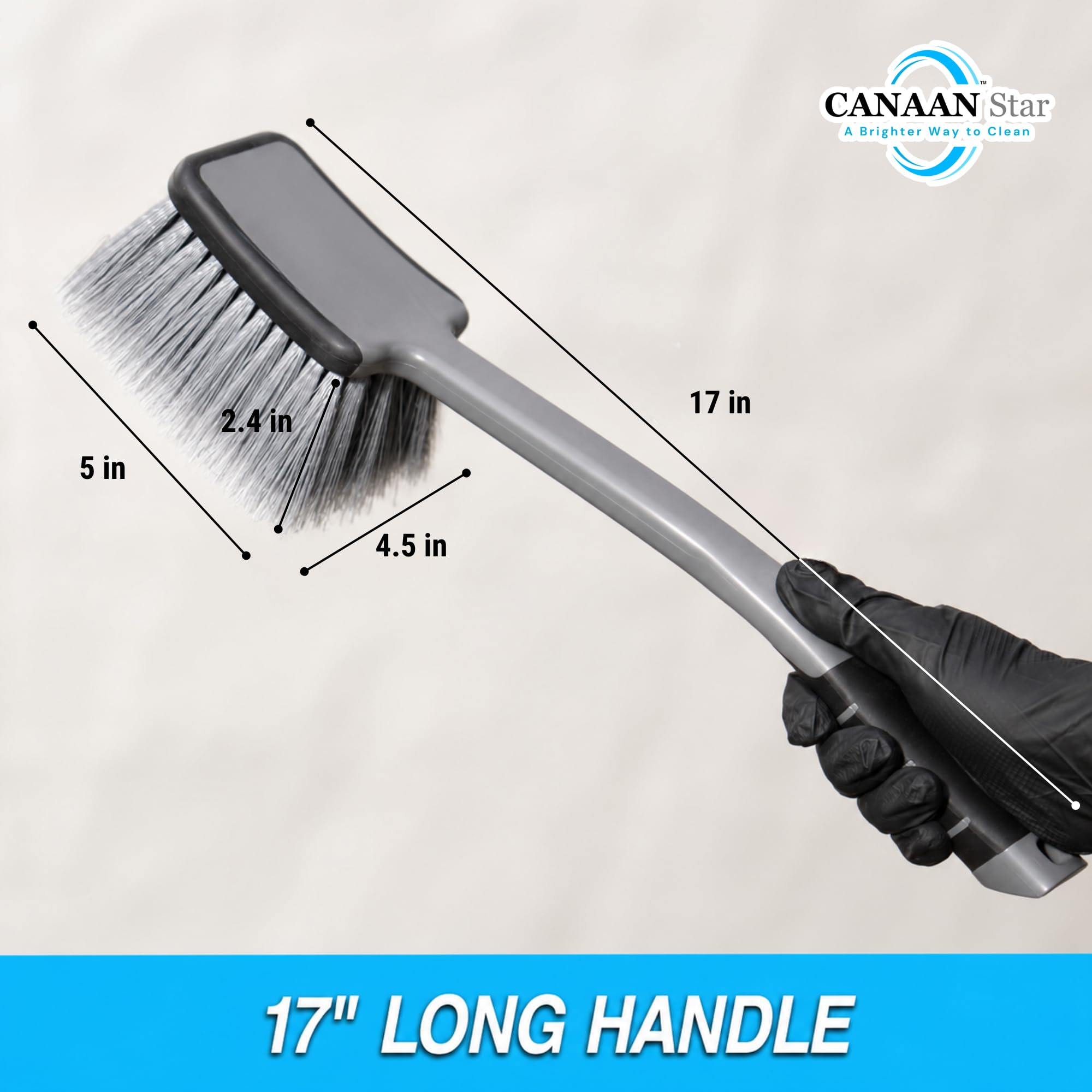 CANAAN STAR close-up of flagged bristles gently lifting dirt — protects surfaces