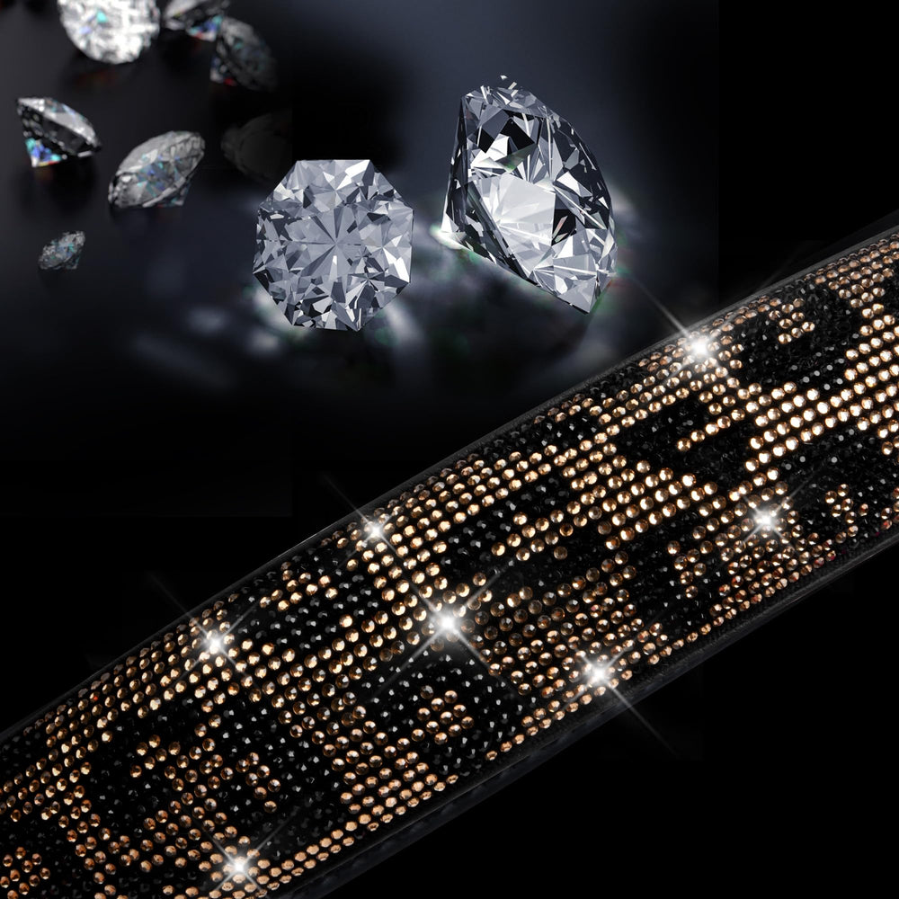 CAR PASS close-up of rhinestones and glitter, highlights durable sparkle