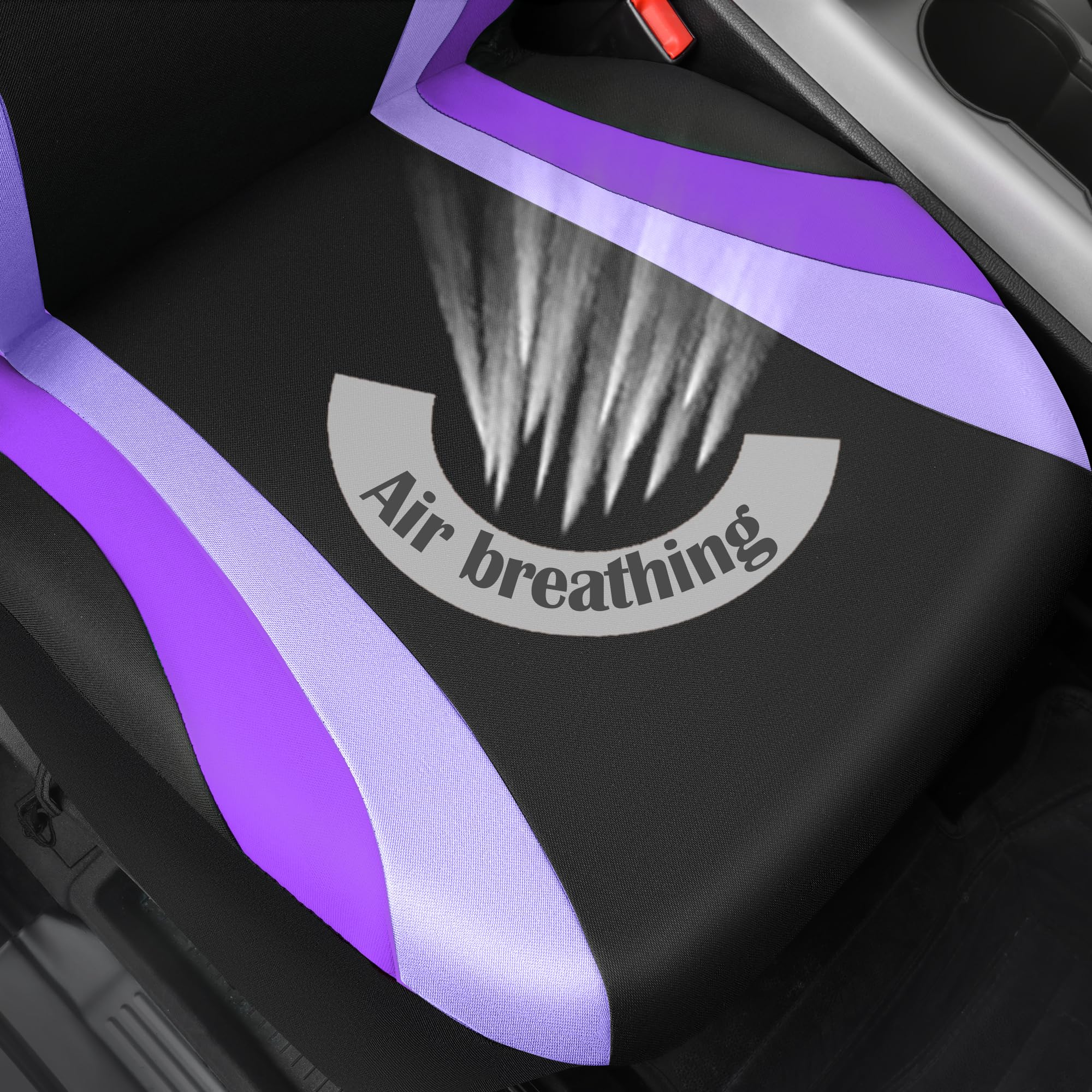 CAR PASS installed in compact sedan demonstrating universal fit and style