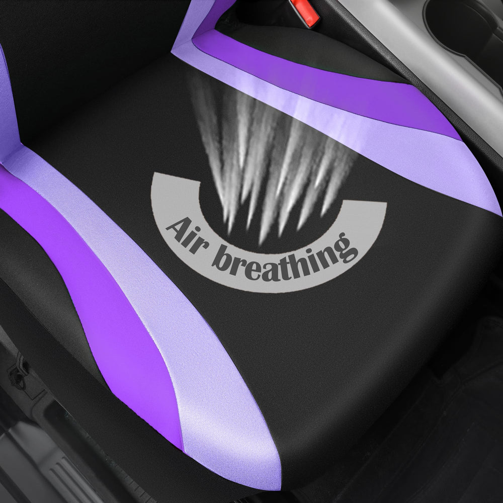 CAR PASS installed in compact sedan demonstrating universal fit and style