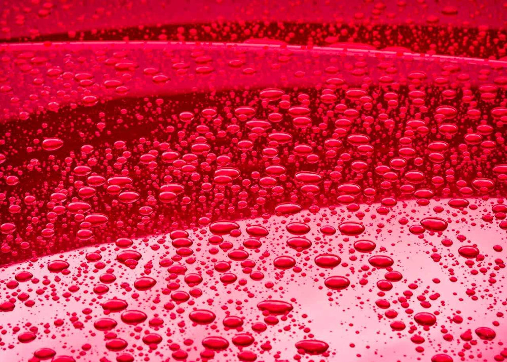 CARPRO coated vehicle panel showing glossy depth and durable surface protection