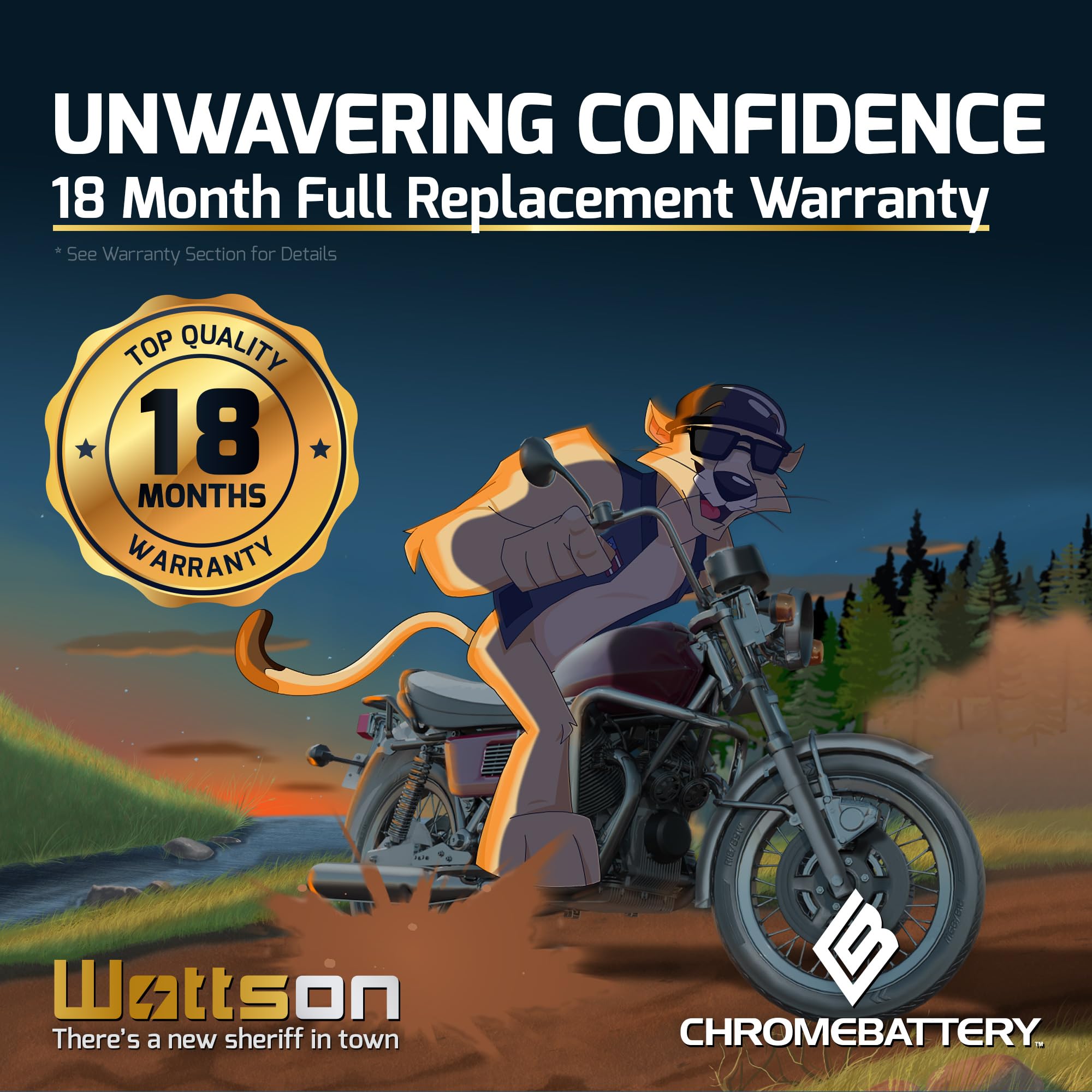 CB CHROMEBATTERY installed in motorcycle compartment for quick swap benefit