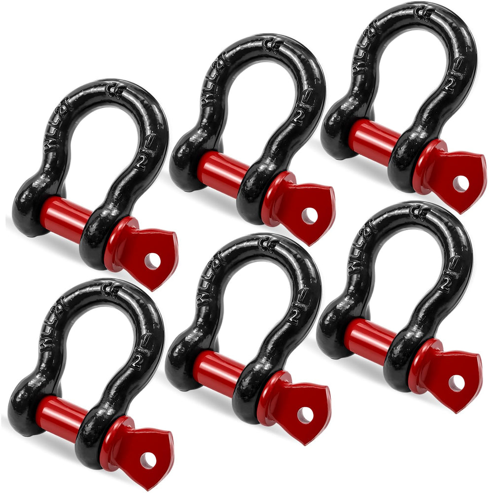 Cheardia front view of 6-pack D-ring shackles showing compact packaging and benefits