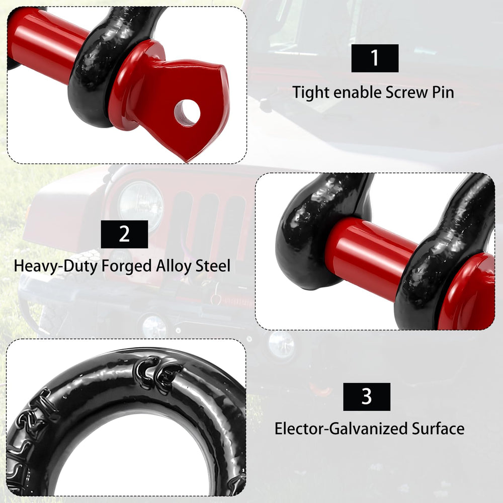 Cheardia galvanized shackle surface detail showing corrosion-resistant finish