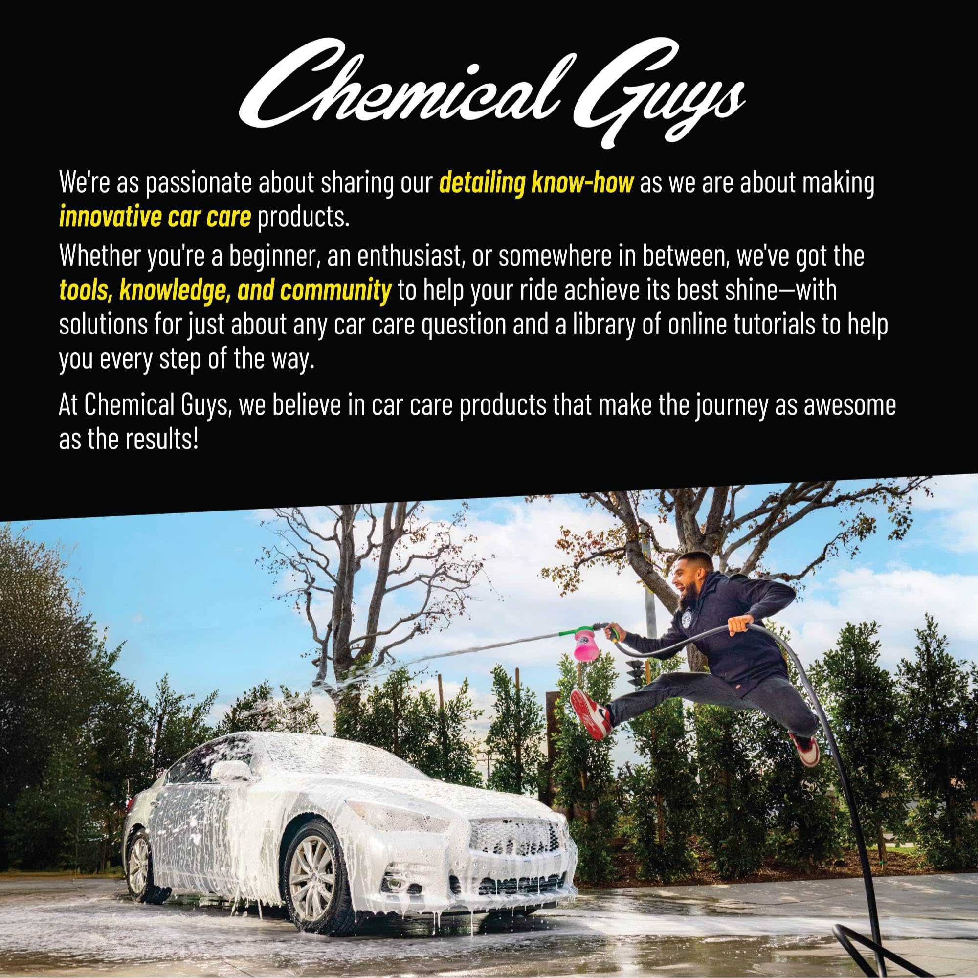 Chemical Guys before and after spot showing removed tar and restored finish