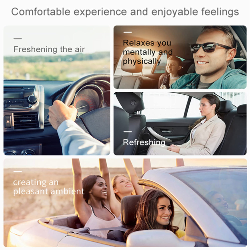 CYG&CL bee in car interior lifestyle shot enhancing cabin style benefit