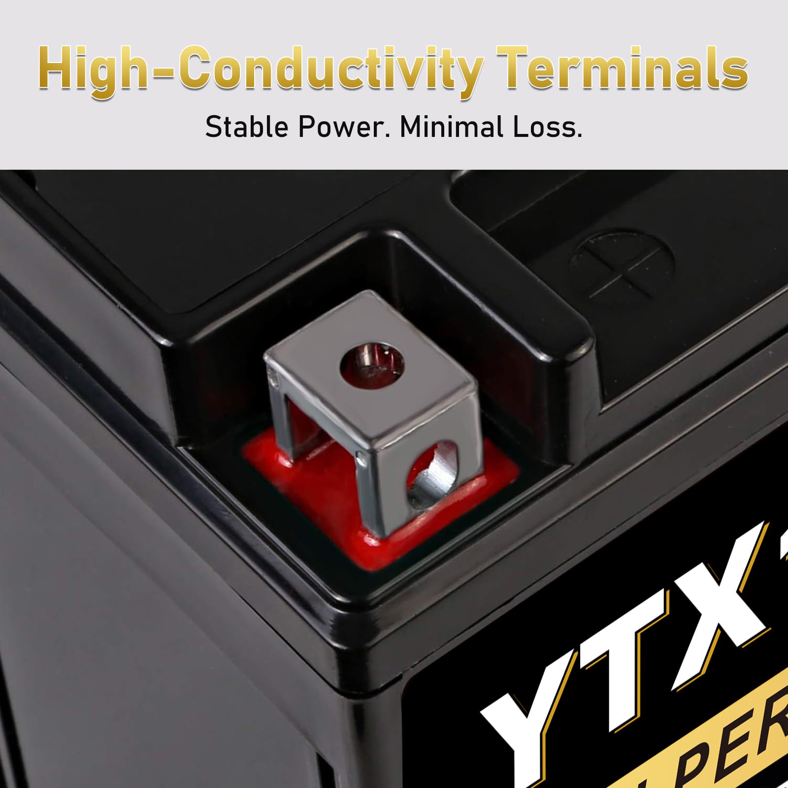 Daakmax top label with specs visible to confirm voltage and CCA benefit