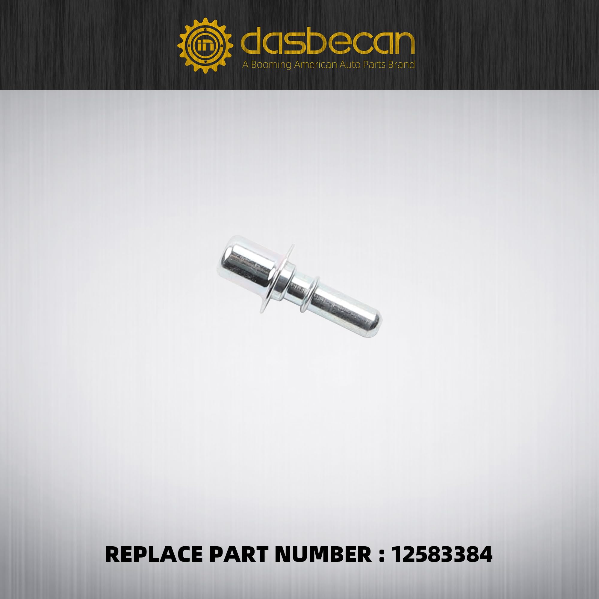 Dasbecan hose next to ruler for scale showing exact length for correct fitment