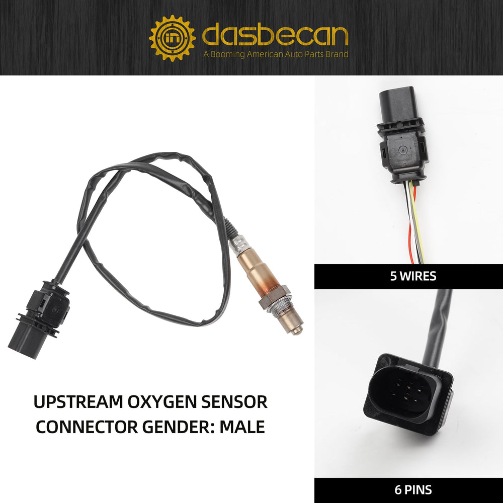 Dasbecan sensor beside ruler showing scale for fit confirmation