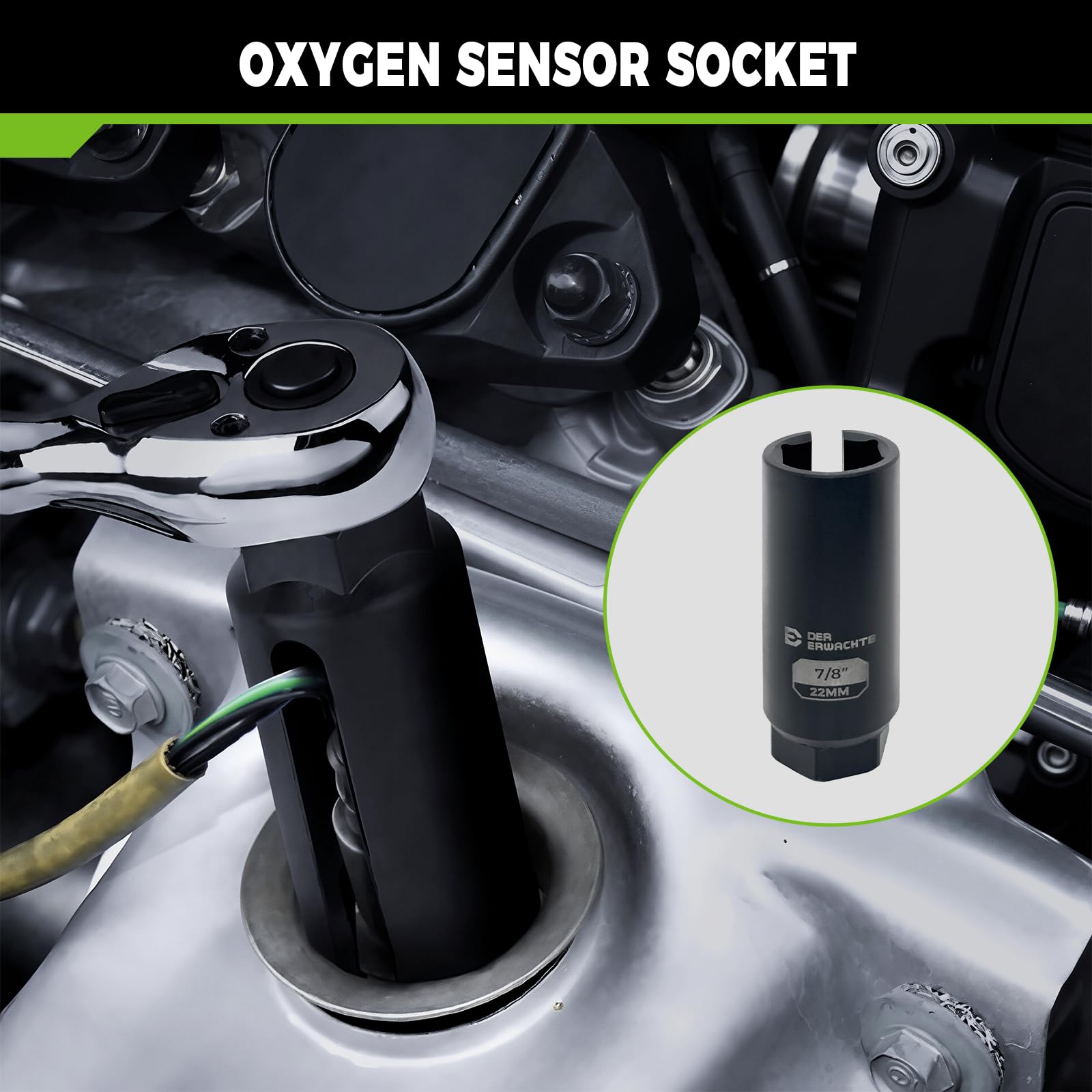 Der Erwachte thermal sensor switch socket highlighting multi-sensor compatibility