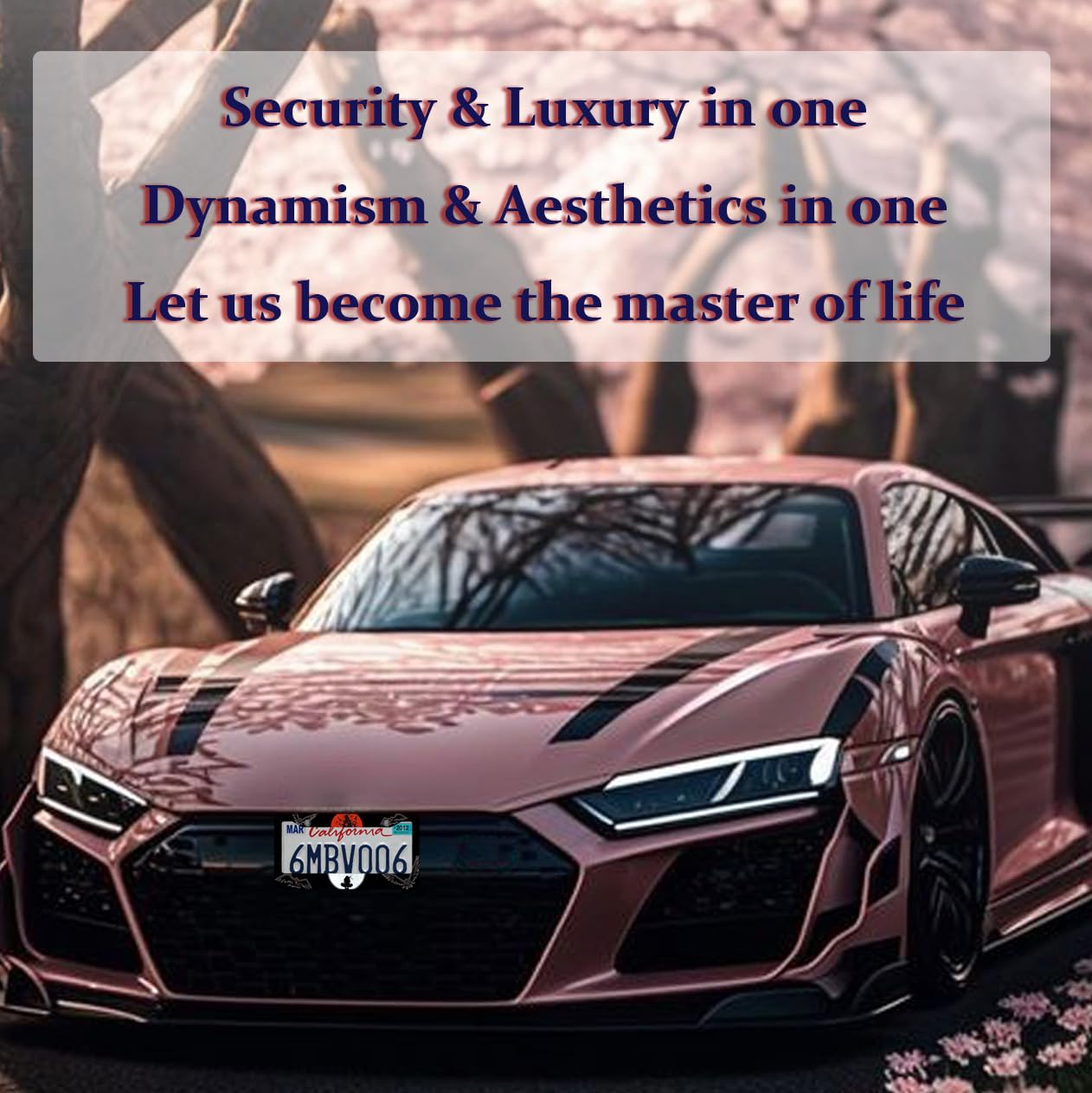 DGDRHZ lifestyle shot of parked car with frame showing visual enhancement benefit