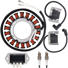 Dosens stator winding close-up showing coil detail for reliable charging performance