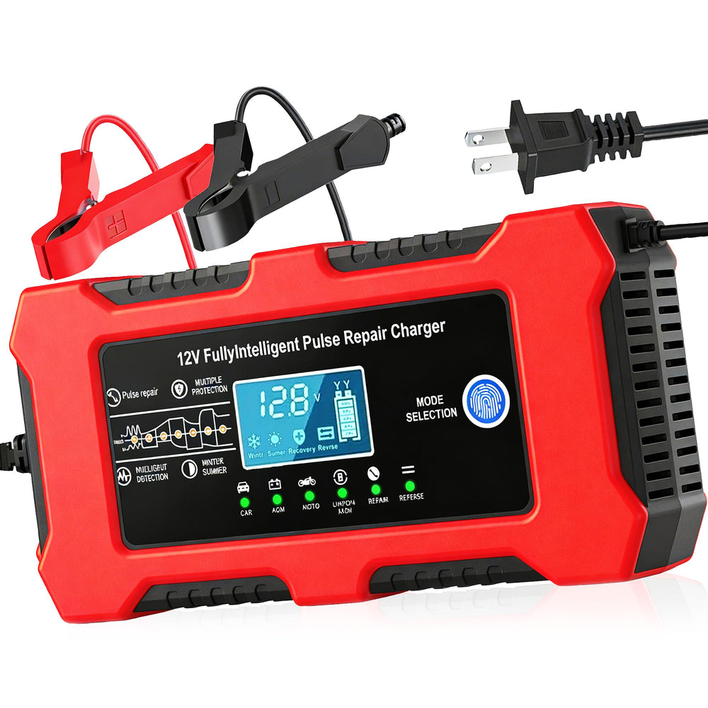 DZPIMROI front panel with LEDs showing charging status and clear indicators for easy monitoring