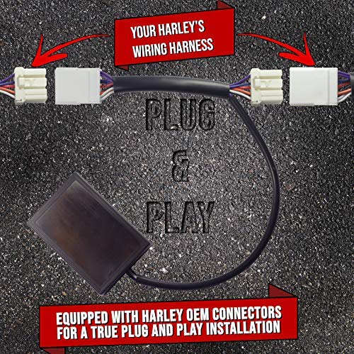 Eagle Lights Equalizer packaging and manual showing included instructions and warranty