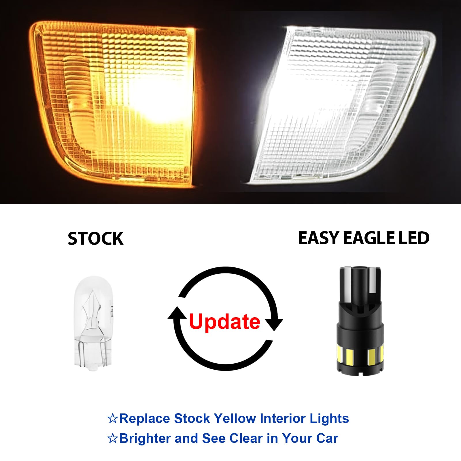 EASY EAGLE close-up of a 6000K LED bulb showing lens detail and long-lasting design