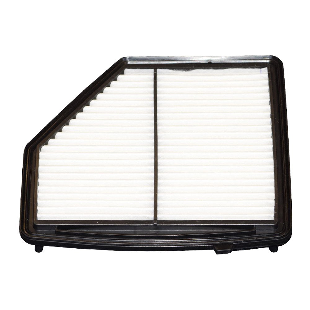 ECOGARD close-up of filter pleats demonstrating high-capacity filtration