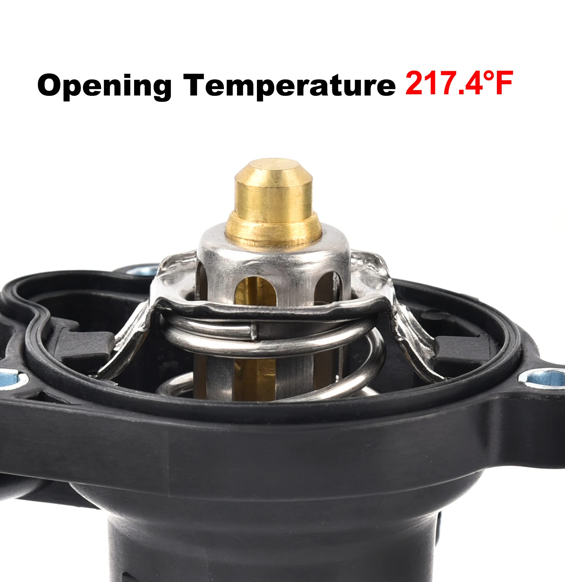 EVIL ENERGY installed housing under hood demonstrating proper fit and leak-free operation