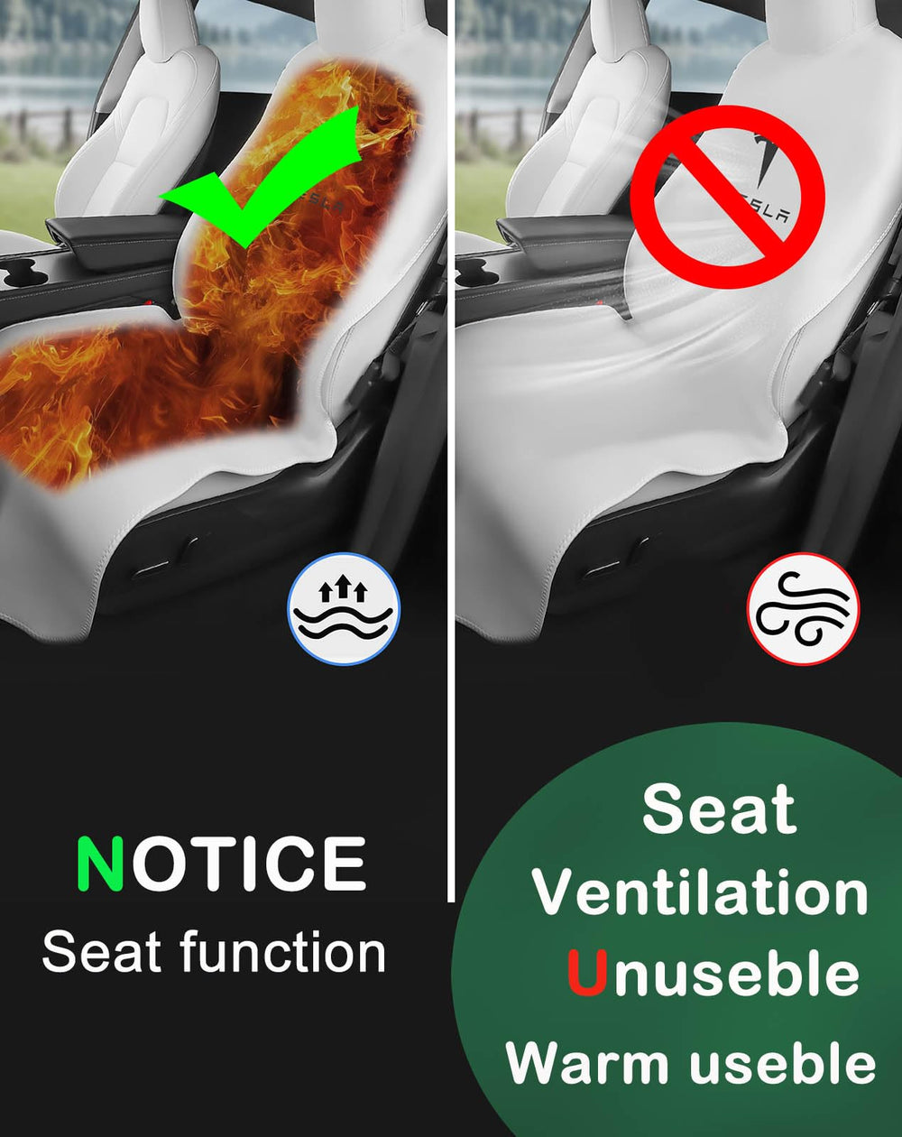 EVMODS seat protector with dog in car demonstrating pet-friendly protection