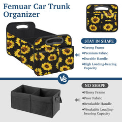 Femuar open with groceries and gear illustrating tidy transport