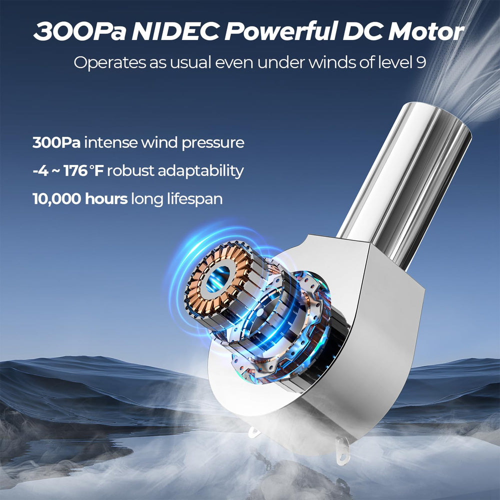 FOGATTI burner and heat exchanger detail providing high 66,000 BTU performance