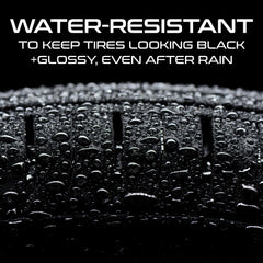Formula 1 applied to tire sidewall showing deep black restoration benefit