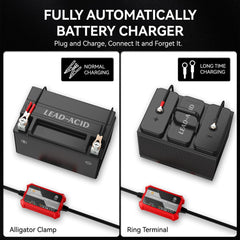 FOVAL LED indicator lights displaying charge stages for easy monitoring and status clarity