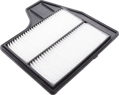 FRAM close-up of pleats on CA11450 showing high dirt-holding capacity