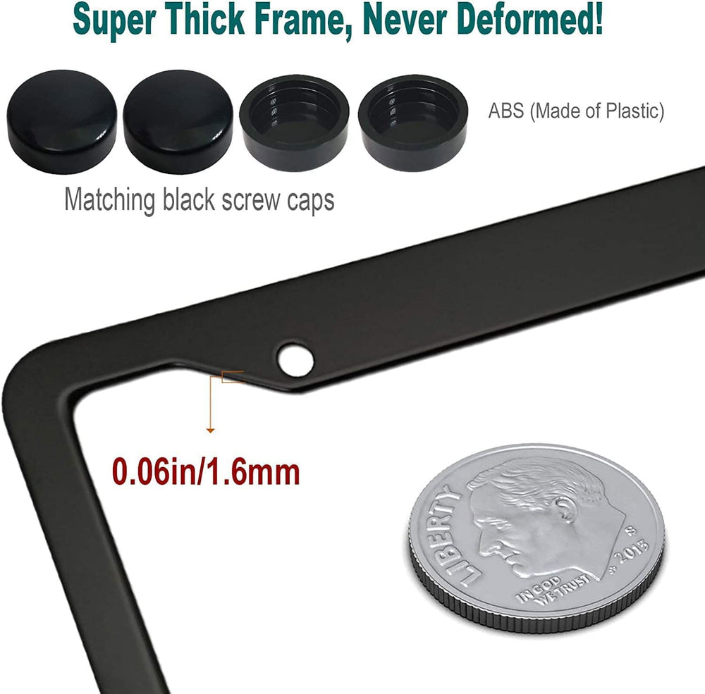 Generic scale comparison with standard plate showing proper fit and tag visibility