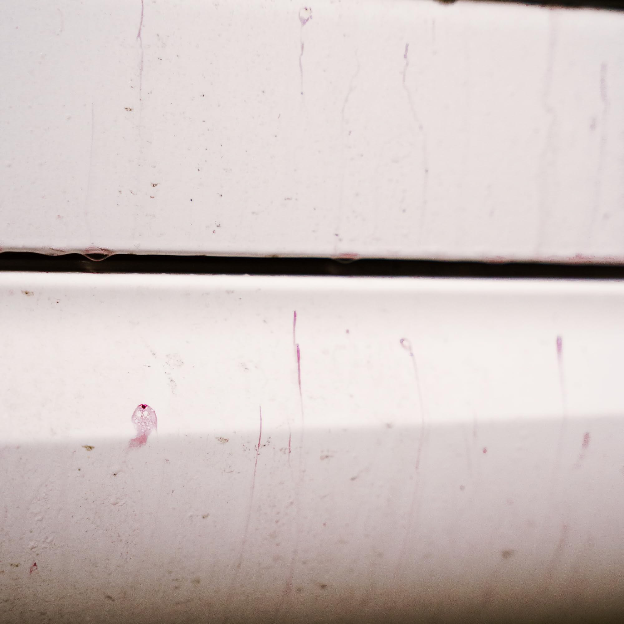 Detailer using soft brush with GYEON on wheel to loosen embedded iron safely