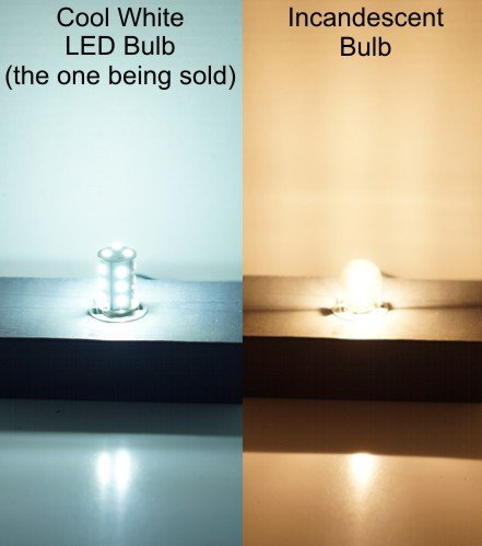 HQRP bulbs held in hand to show size and simple installation benefit