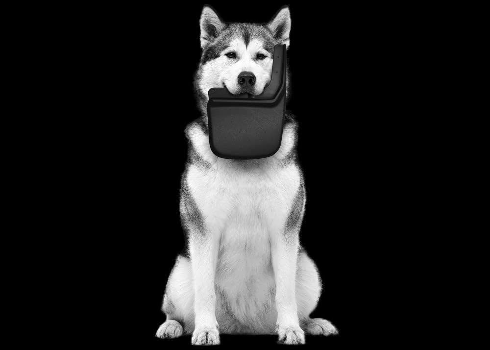 Husky Liners lifestyle shot on gravel road showing real-world protection