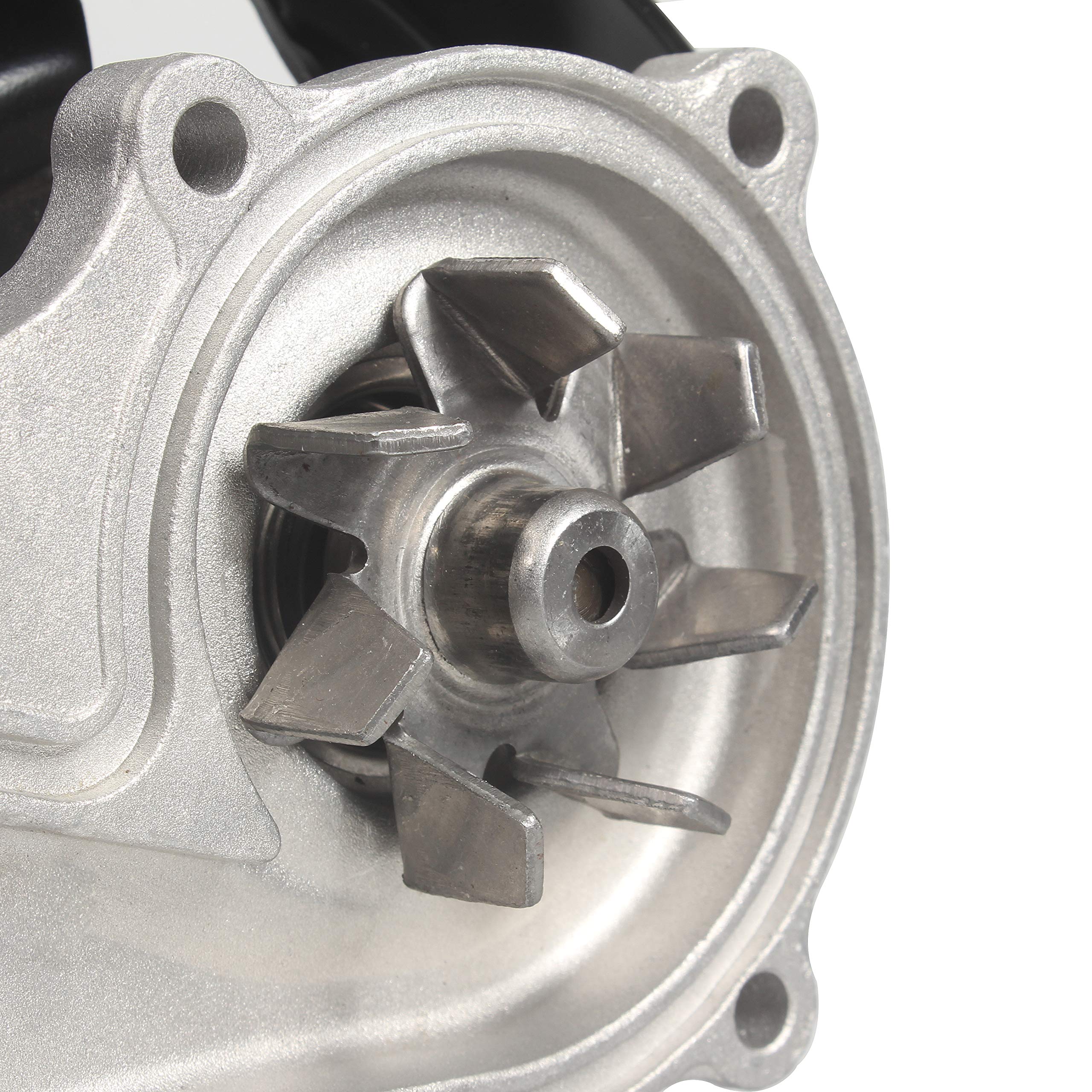 IRONTREE pump beside ruler to show size and fit for proper comparison