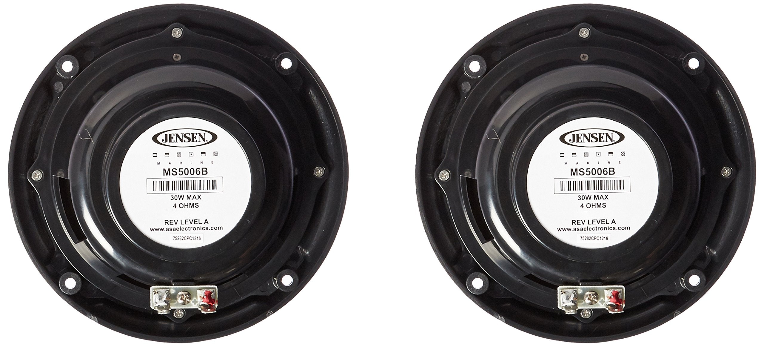 ASA Electronics Jensen MS5006BR close-up of woofer and Mylar whizzer tweeter for clear sound