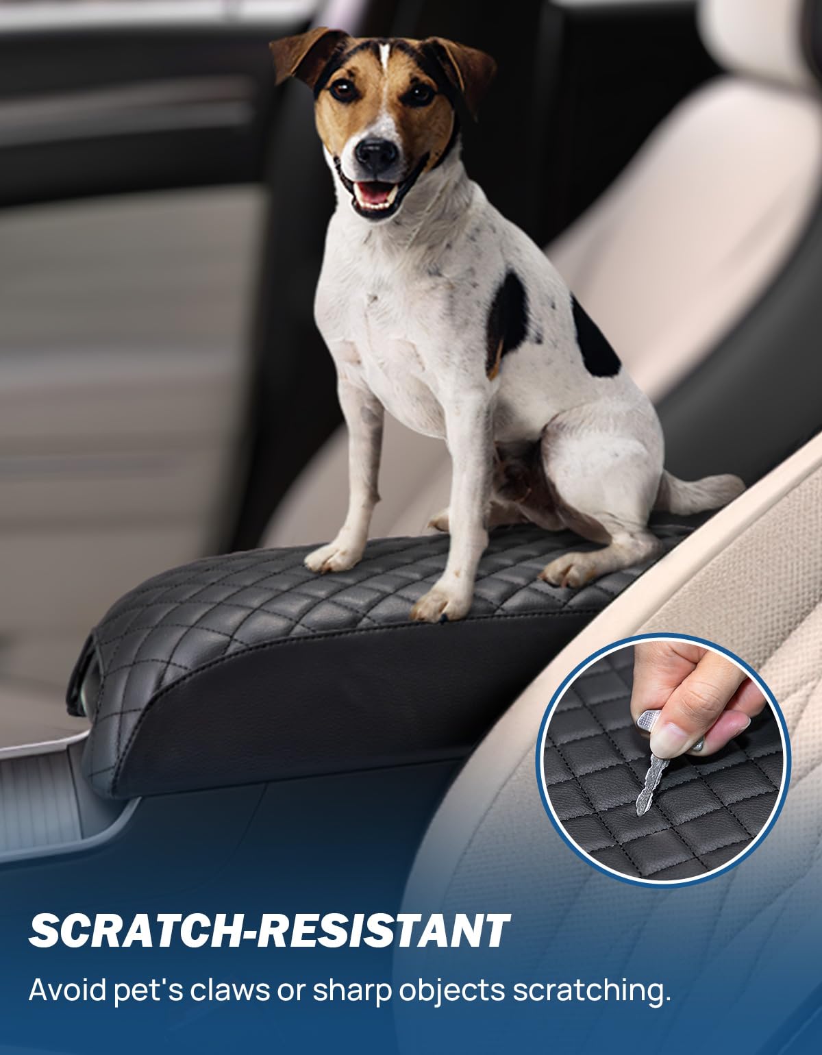 JOYTUTUS installed in Charger interior illustrating improved comfort and style