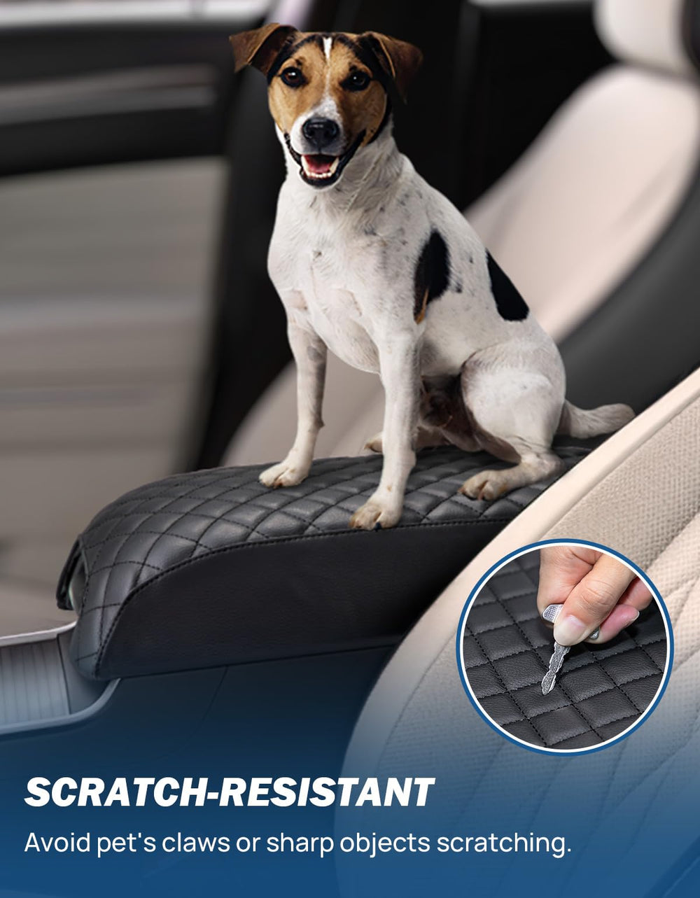 JOYTUTUS installed in Charger interior illustrating improved comfort and style