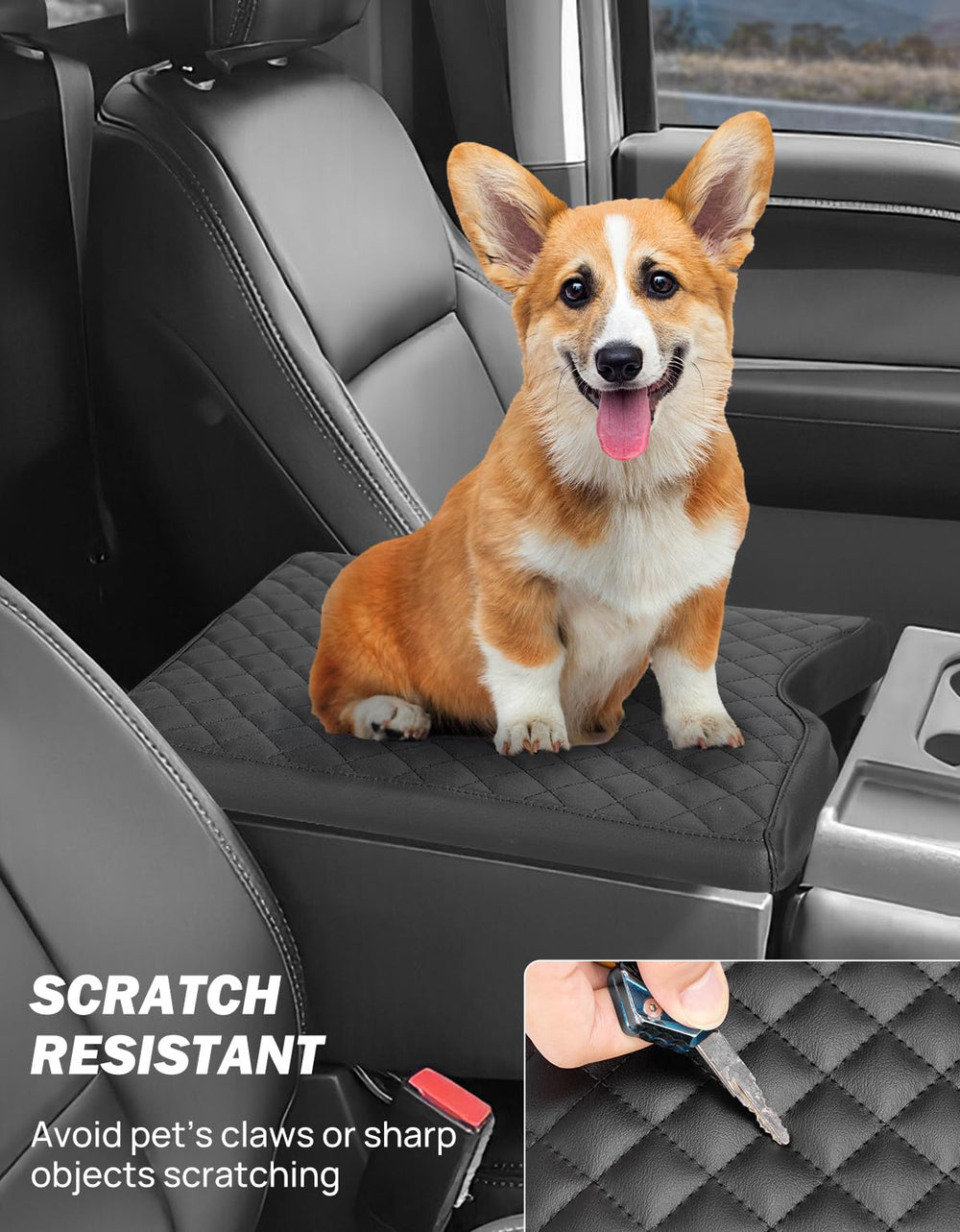 JOYTUTUS installed in truck interior demonstrating comfort and style