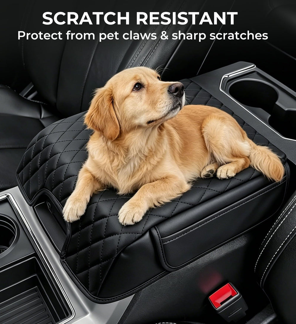 Katorn reinforced elastic strap detail ensuring secure hold