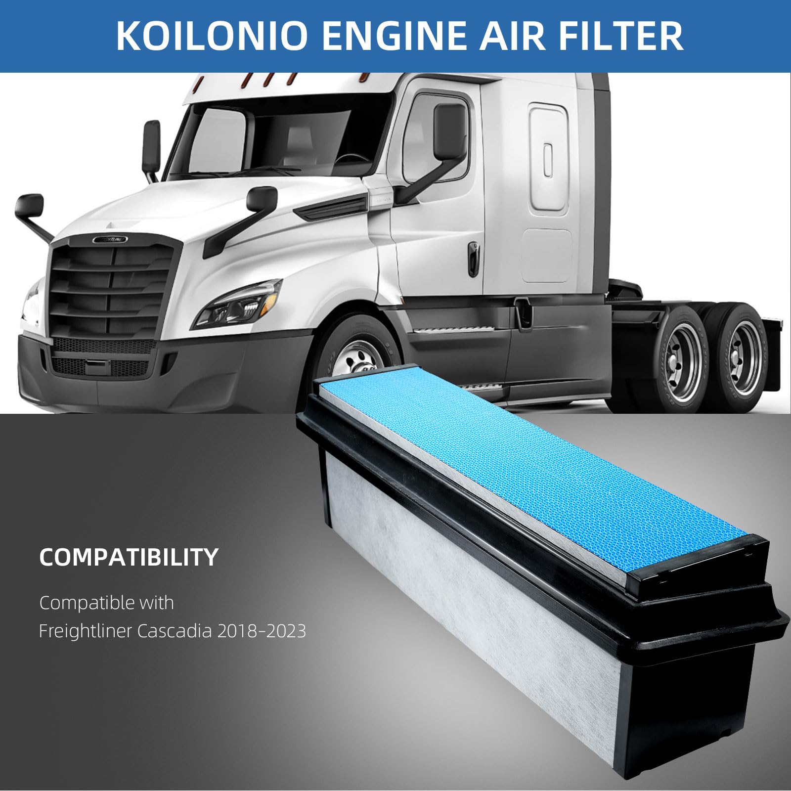 Koilonio close-up of pleated media highlighting superior dust capture